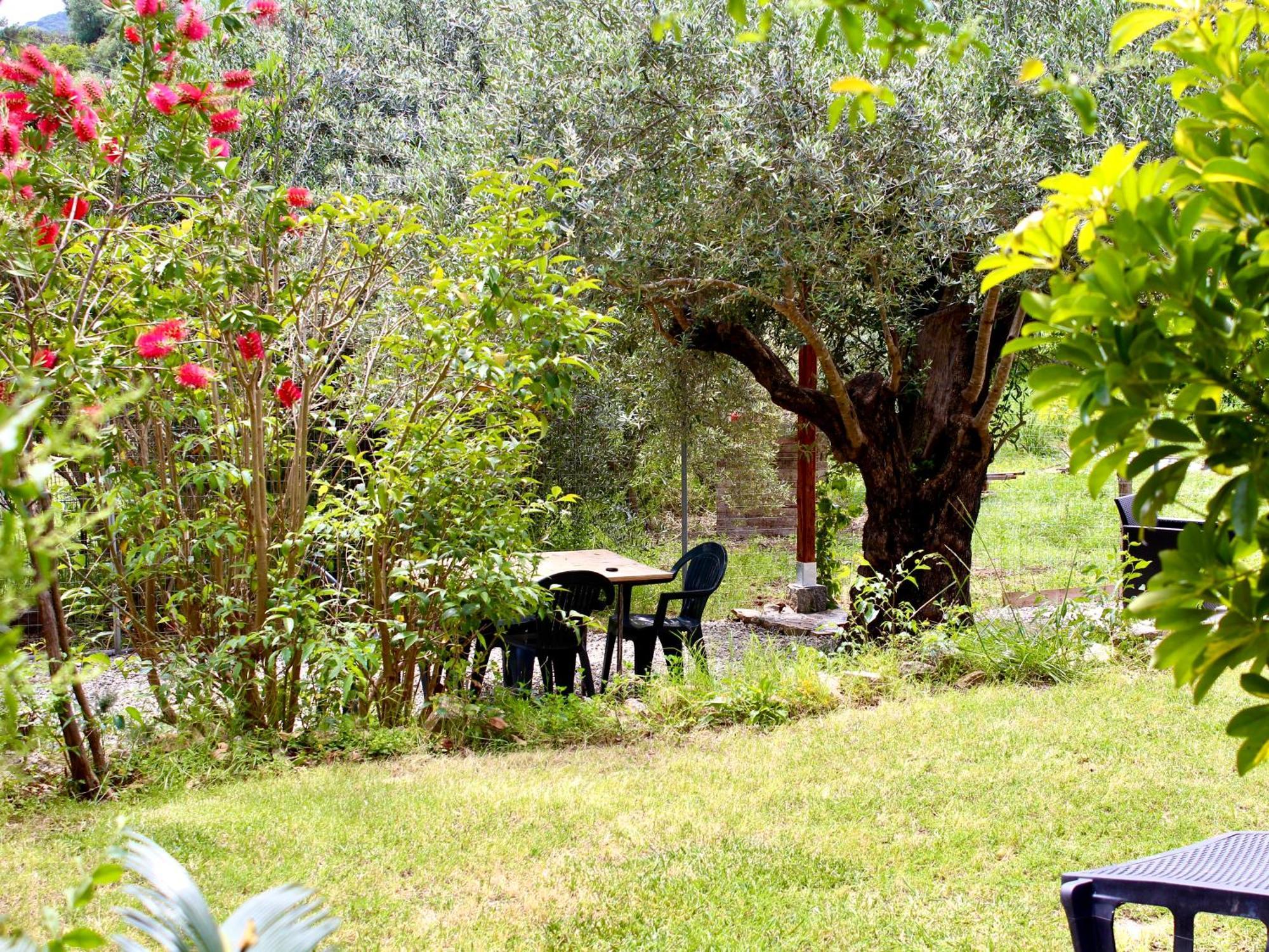 Villa Pelau - Holiday Home Jerzu المظهر الخارجي الصورة